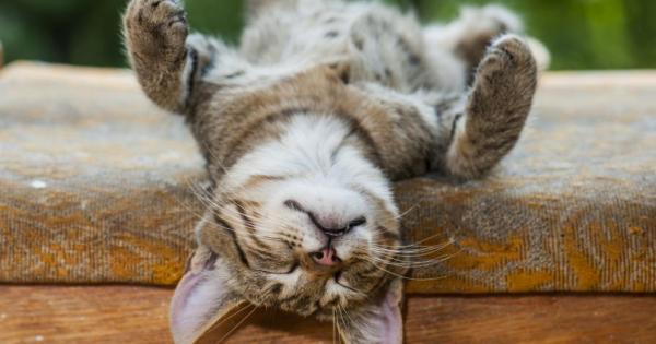 Лятото дойде хората извадиха потниците и слънцезащитните кремове но