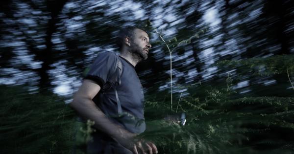 Има нещо неустоимо вълнуващо в историите за оцеляване в дивата