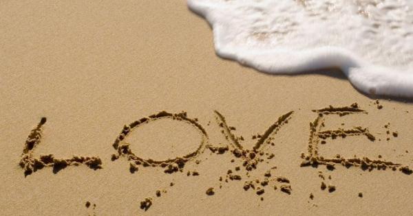 Всичко което ни е нужно е любов казват мъдрите хора Когато