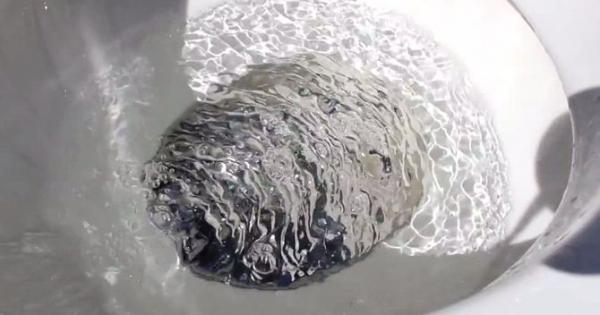 Новото видео на Cody s Lab e особено забавно за гледане Първо