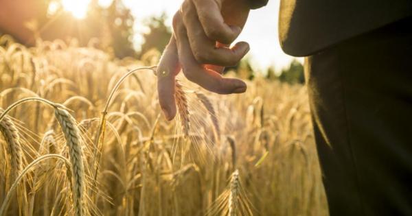 Ако сте от хората които казват медитацията не е за