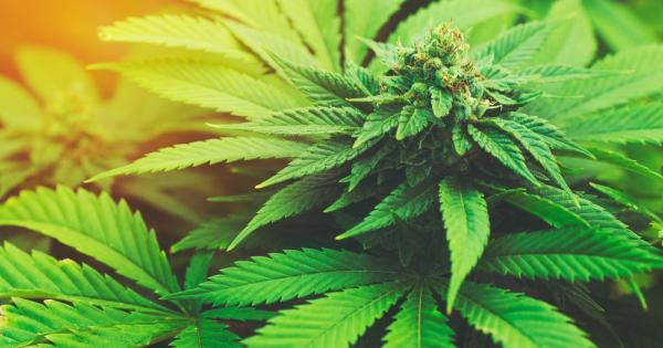 Новината е сензационна шокираща създадена да удивлява и забавлява света
За жалост