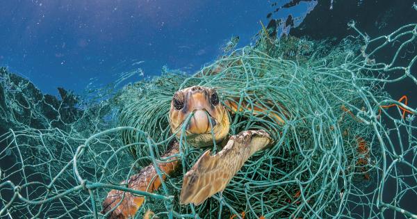 National Geographic поставя началото на кампанията Планета или пластмаса?“ и