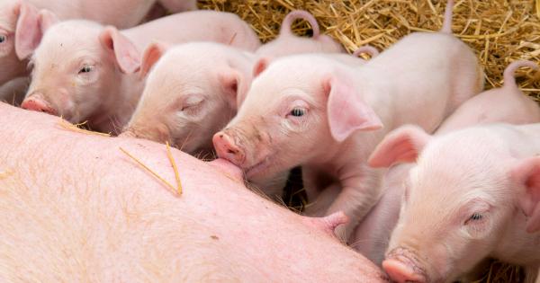 Наскоро попаднахме на една любопитна размяна на писма между Асоциацията