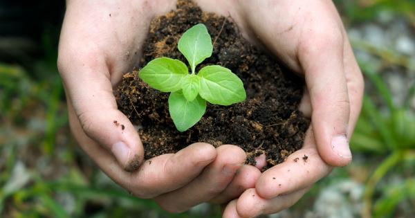 Всеки е чувал това клише от книгите за самопомощ –