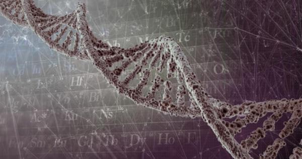 Всички сме чували в училище за гените – парченцата изграждащи