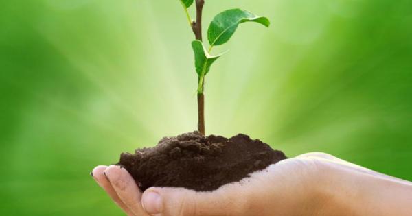 На пръв поглед задачата ни да направим планетата по чисто и