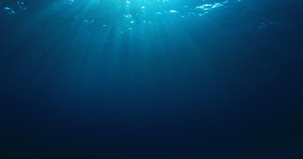 Мистериозно чудовище изхвърли морето след урагана Харви край бреговете на Тексас