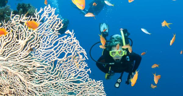 Големият бариерен риф е верига от коралови рифове и острови, намиращи се в Коралово