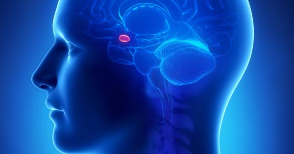 За първи път учени откриха че възрастните мозъци на мишки