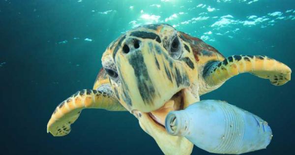 От 5 до 12 милиона тона пластмасови отпадъци попадат годишно