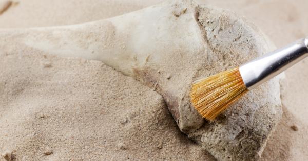 През 1912 година палеонтологът любител Чарлз Доусън адвокат по професия