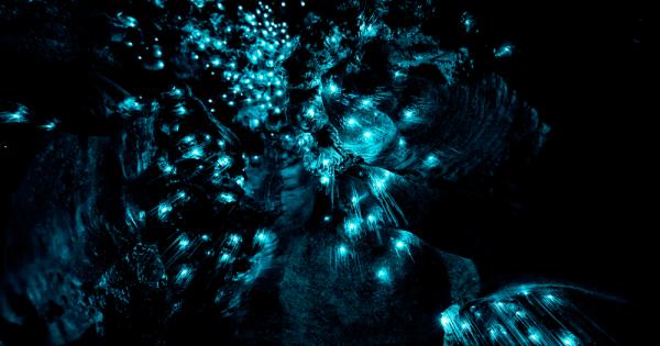 Тези изключителни фотографии ще ви накарат да се почувствате така