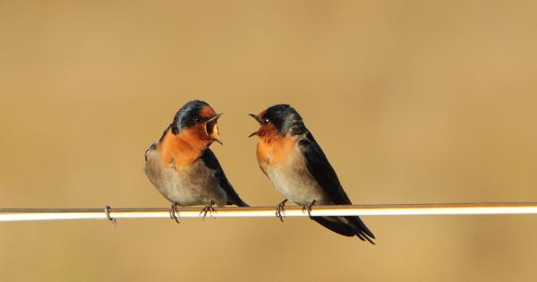Една сутрин съпругата ми Елеонор се събуди обърна се към