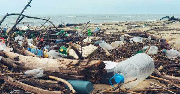Ако не бъдат взети спешни мерки обемът на боклуците в