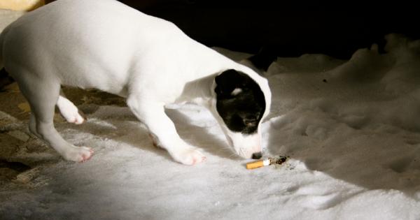 Кучетата и котките които живеят заедно с пушачи са изложени