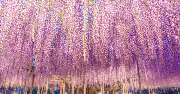 Тези забележителни снимки които наподобяват приказно вечерно небе с оттенъци