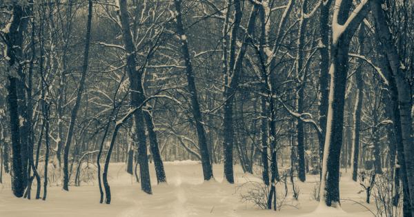 Коалицията от неправителствени организации и граждански групи За да остане