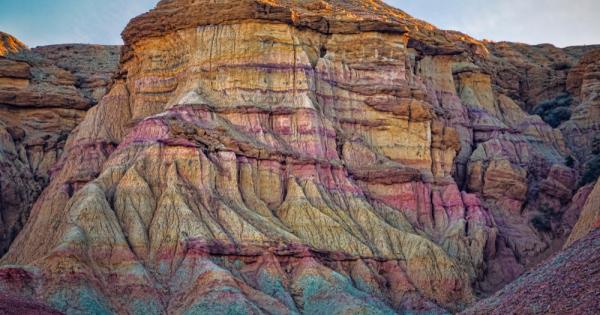 Преди хората да изобретят соларните клетки които превръщат светлината в