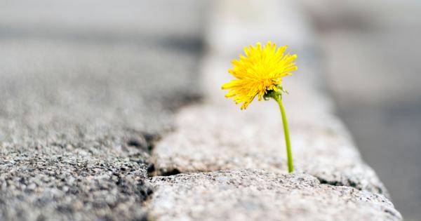 Постоянството не е абсолютното условие за постигане на успех но