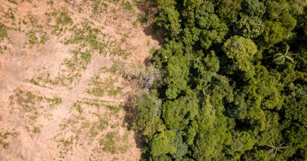 Експертната група към ООН за биоразнообразието предупреди че голяма част