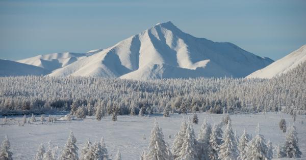 Учени откриха тялото на напълно запазено праисторическо кученце Смята се