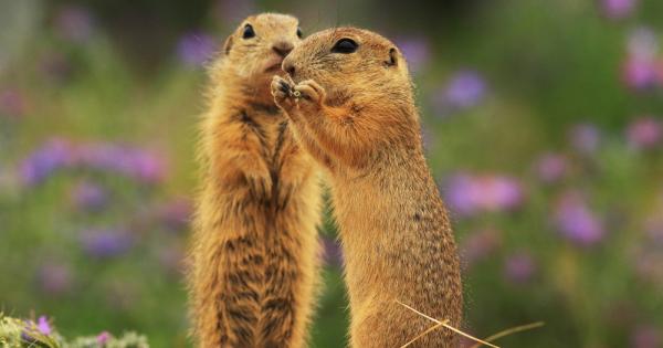 До края на юли учени от Института по биоразнообразие и