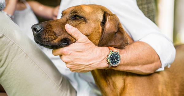 Със сигурност познавате хора които наричат кучето или котката си