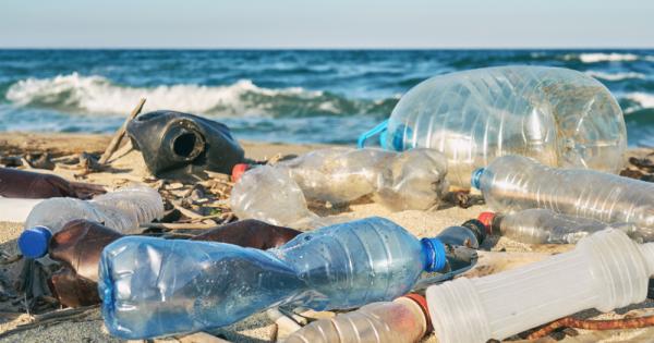 Скорошен одит събра хиляди пластмасови боклуци от плажовете по целия