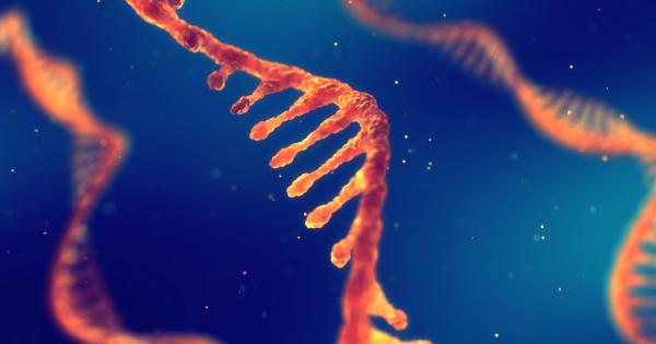 Учени откриха механизъм регулиращ продължителността на живота чрез модификация на