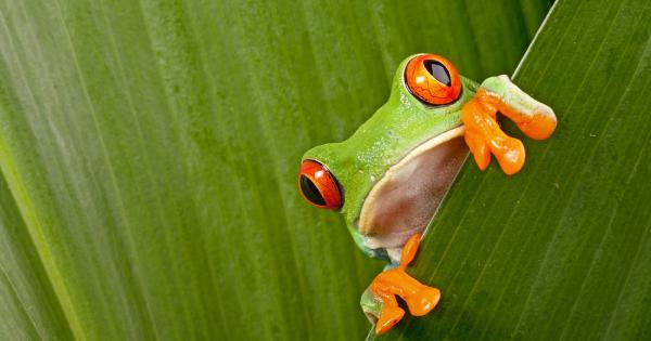 През 19 век белгийският палеонтолог Луи Доло предлага един от