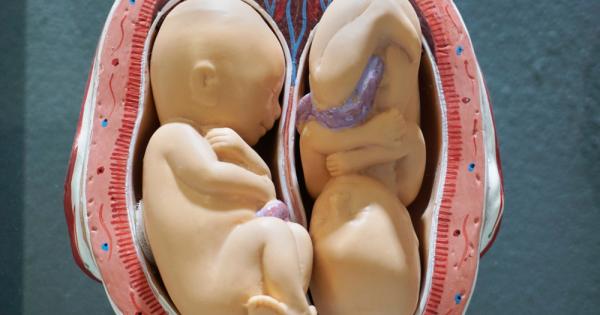 Китайският учен Хе Цзянкуй от Южния университет за наука и