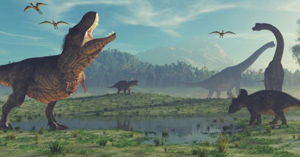 Къде са бебетата динозаври В този завладяващ разговор от TEDхВанкувър палеонтологът