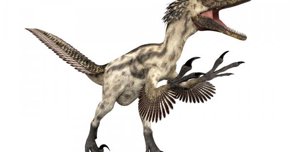 Ранната еволюционна история на птиците след отделянето им от динозаврите