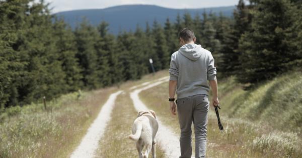 По дълъг и уморителен път вървял човек с куче Двамата