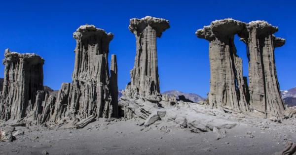 Като вид хората сме забележително уверени че сме единствените които