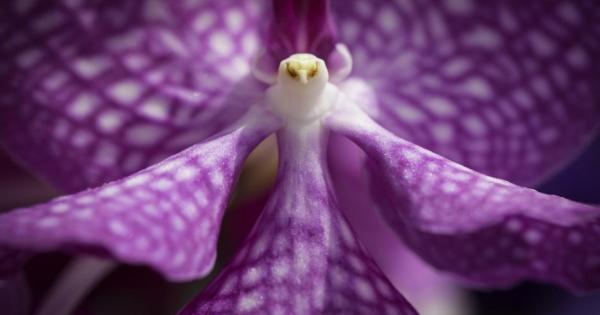 Понякога природата наистина се развихря в творчеството си Разбърква боите