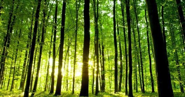 Коалицията от неправителствени организации и граждански групи За да остане