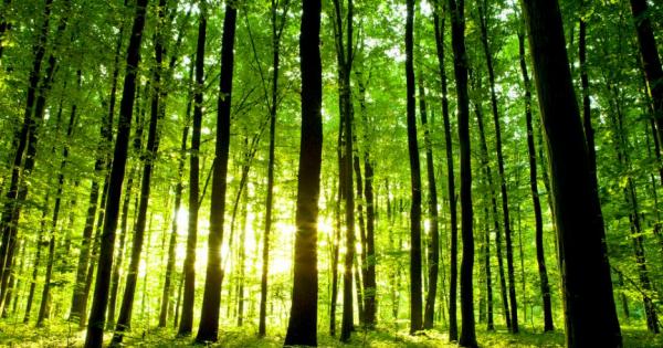 Животът на хората става хаотичен на минутата когато решат да