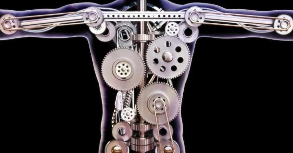 Всички знаем че тялото ни не бездейства Дори когато си