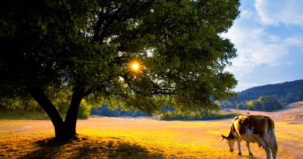 До 10 септември 2018 г продължава набирането на истории и