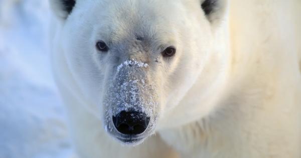 Влиятелното британско издание Индипендънт събра от световните мисловни тръстове 24