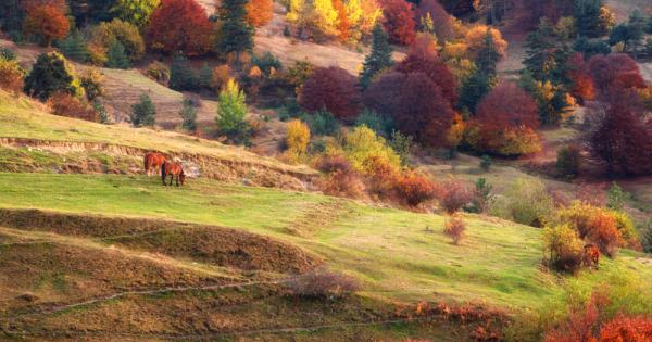 Няма две мнения по въпроса есента е най живописният сезон