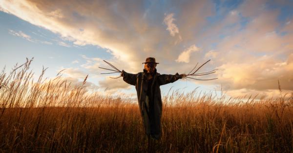 Веднъж попитах едно плашило Не ти ли омръзна да плашиш
