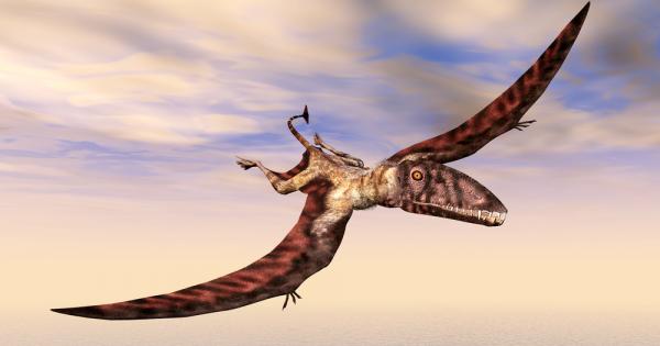 Палеонтолози откриха останките на древен летящ хищник, който е бил