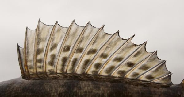 Учени използваха последните техники за редакция на гени и откриха