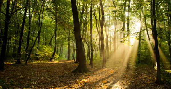 На всеки 10 минути хората генерират толкова информация колкото е