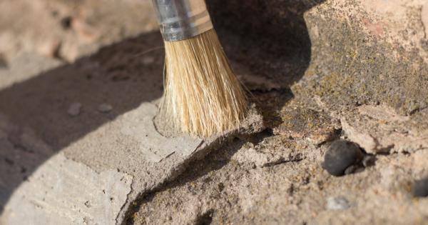 Археолози се натъкнаха на находка която доказва за първи път