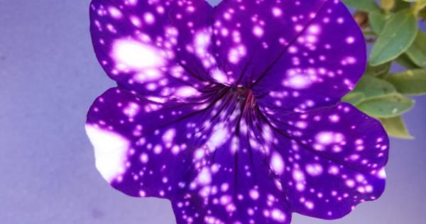 Искате да се взирате в далечни галактики но не разполагате