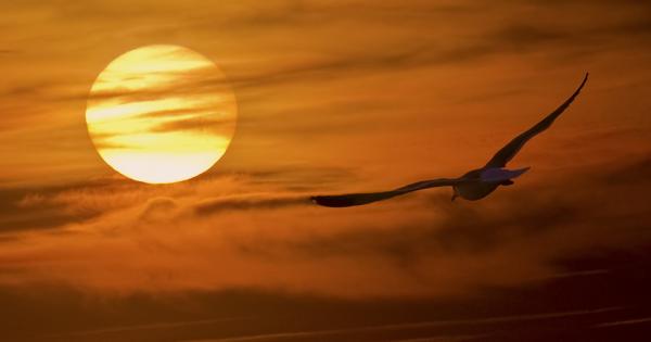 Един от начините да избереш бъдеще е като вярваш че